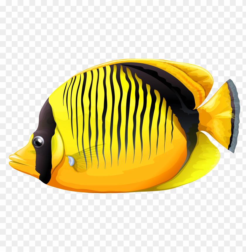 Download yellow butterfly fish clipart png photo  @toppng.com