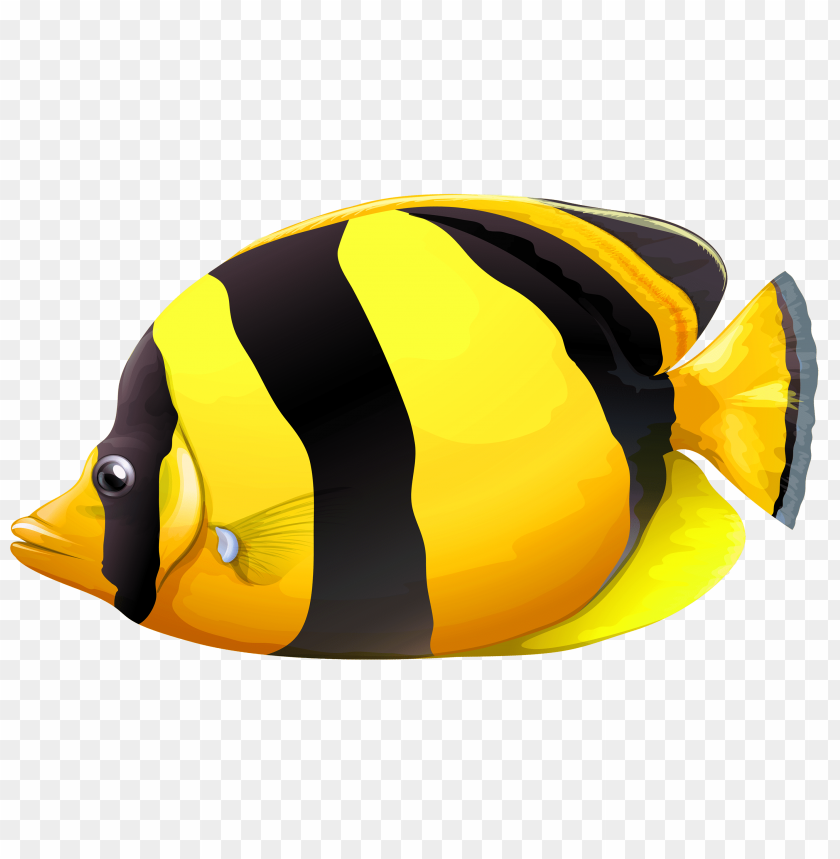 Download yellow chaetodon butterfly fish clipart png photo  @toppng.com