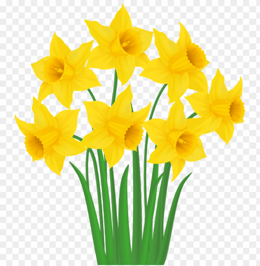 flowers, flowers png, spring png, flower png, yellow flower