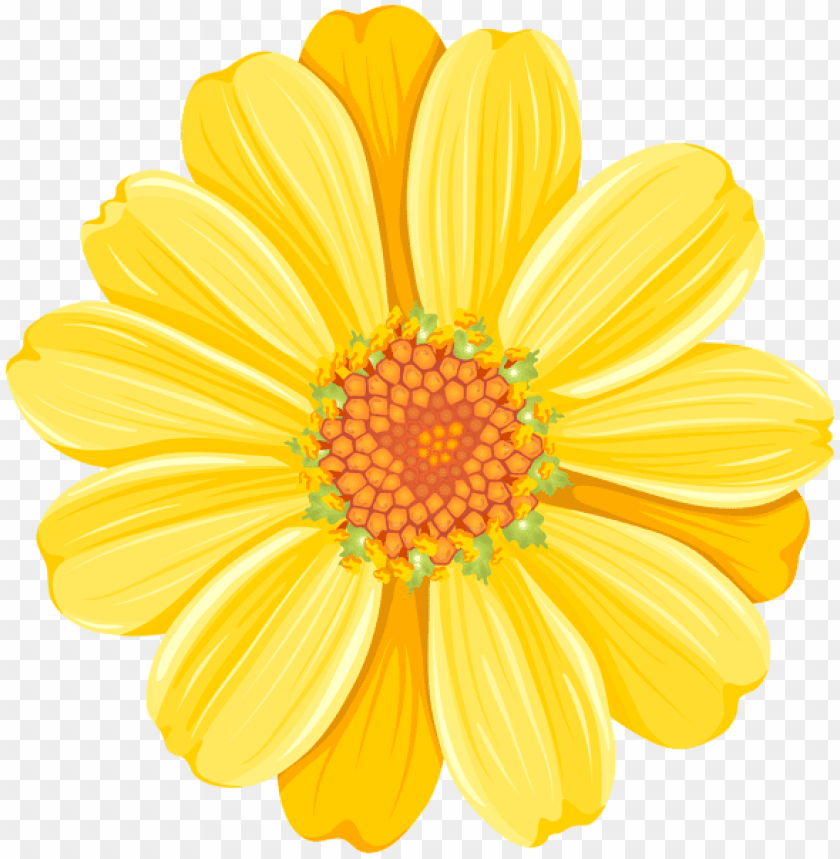 Download yellow daisy png images background | TOPpng
