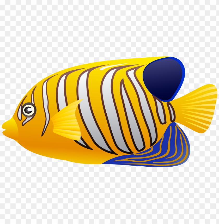 Download yellow fish clipart png photo  @toppng.com