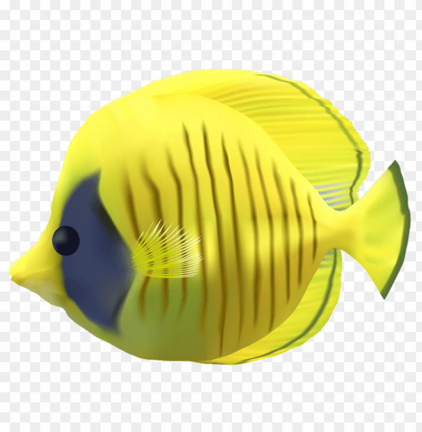 Download yellow fish transparent clipart png photo  @toppng.com