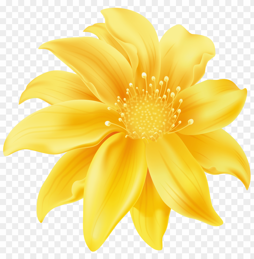 yellow flower clipart png photo - 32337