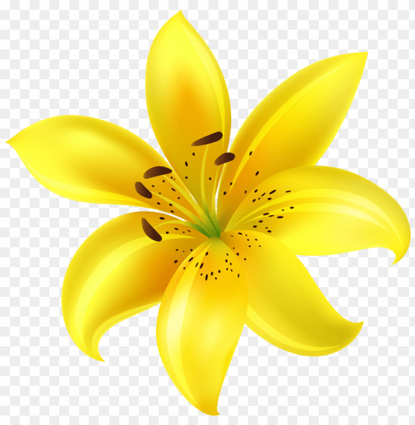 PNG image of yellow flower with a clear background - Image ID 44317