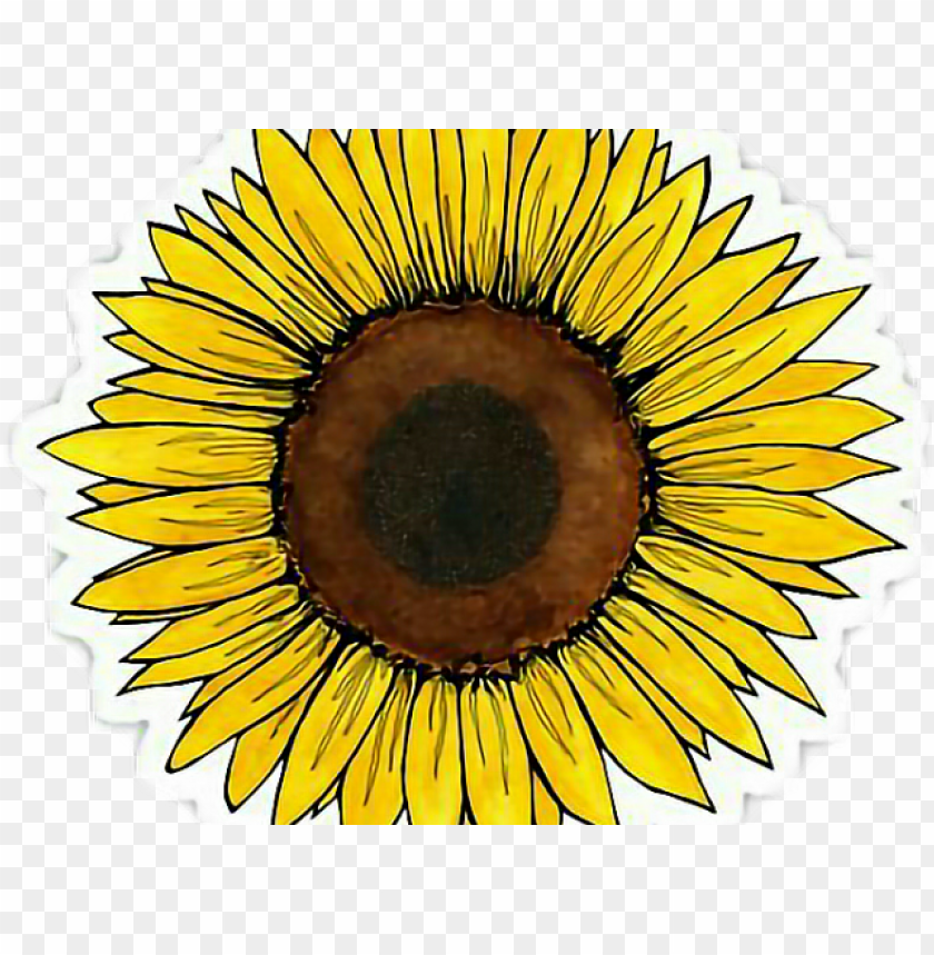 Yellow Flower Clipart Tumblr Transparent Sunflower Sticker Png