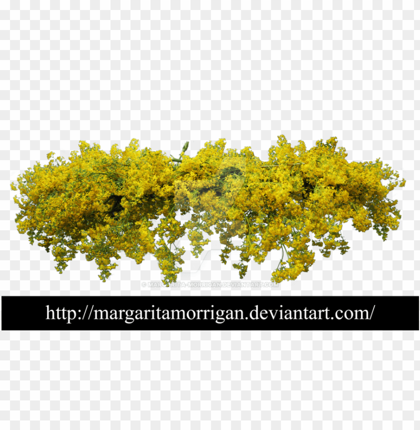 yellow flower crown transparent, flower,transparent,yellow,flowercrown,transpar,crown