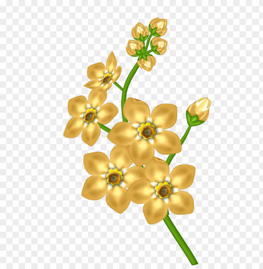 yellow flower transparent
