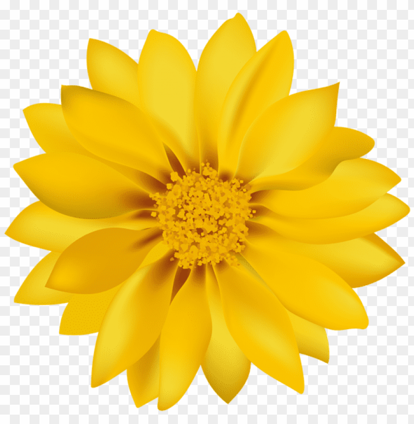 Yellow Flower Png