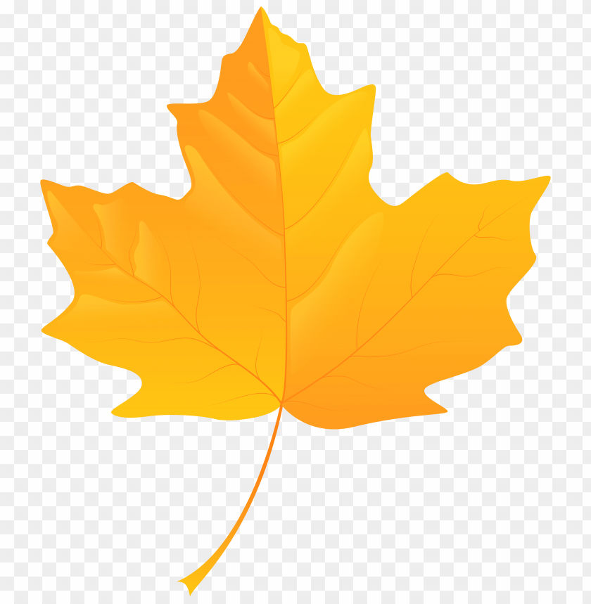 leaf, yellow