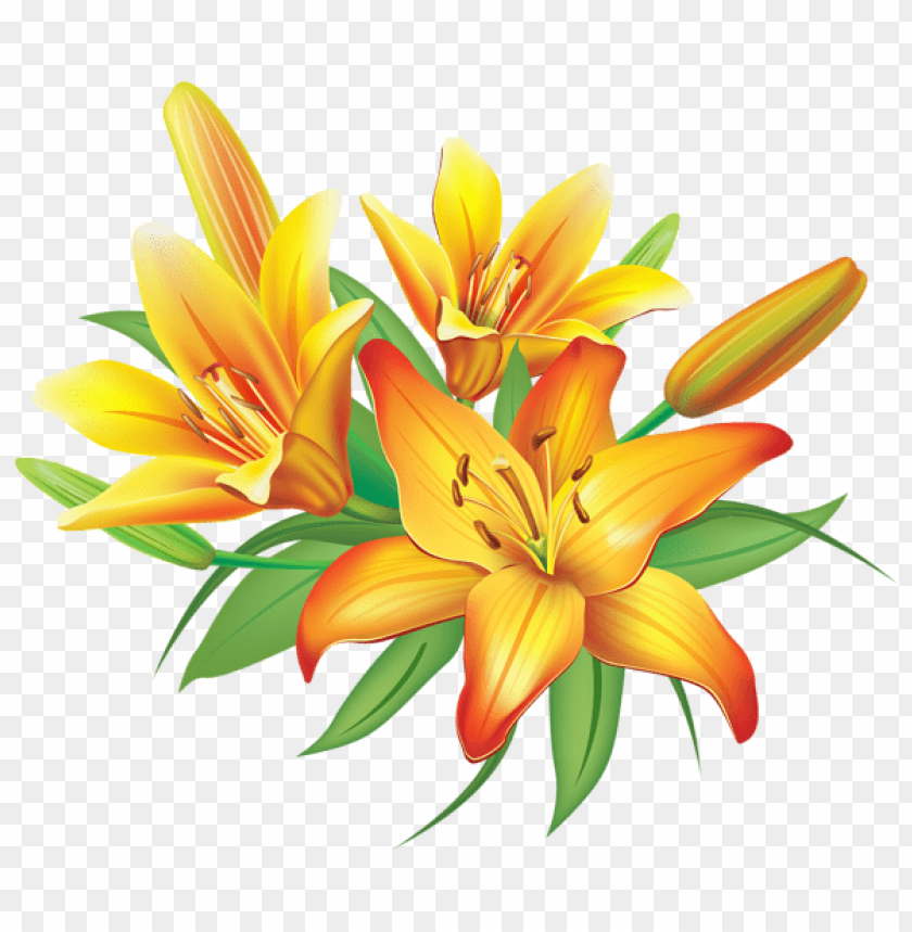 yellow lilies flowers decoration