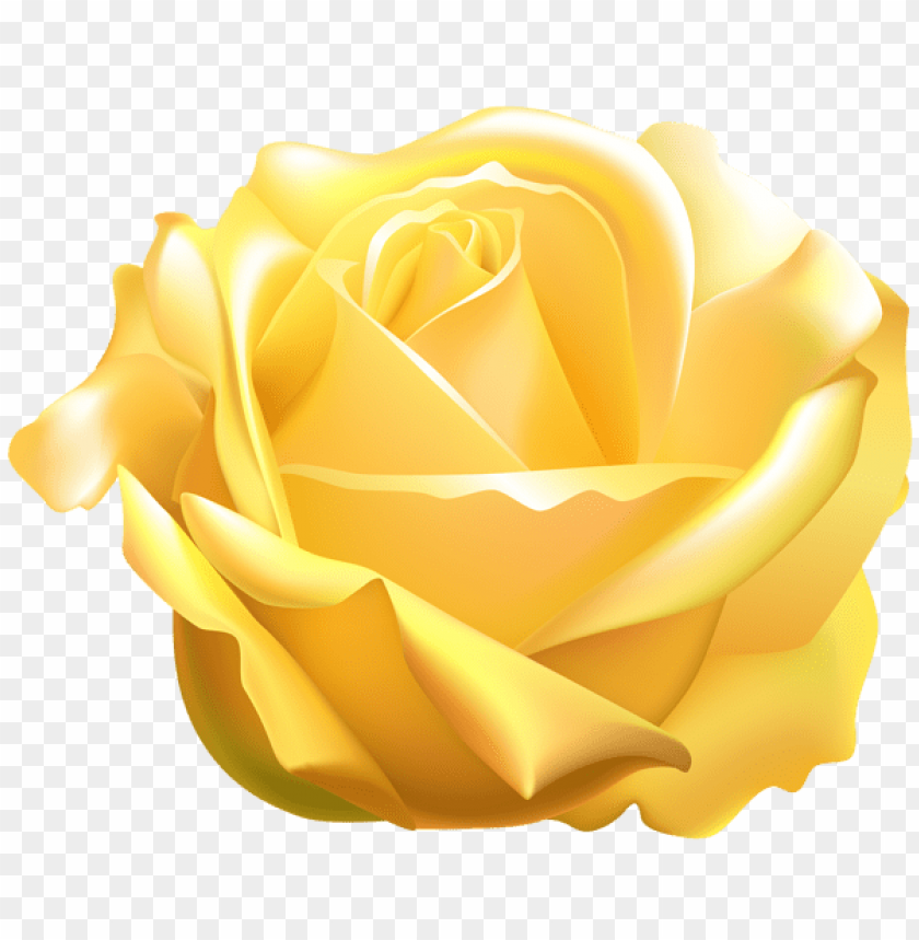PNG image of yellow rose with a clear background - Image ID 44045