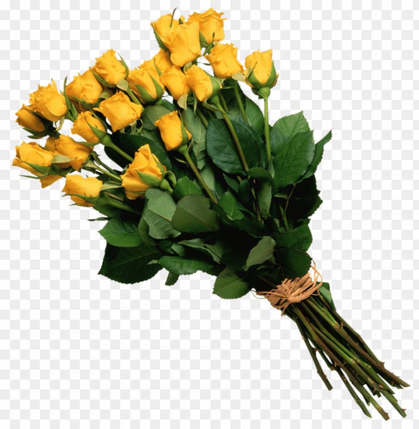 yellow rose bouquet