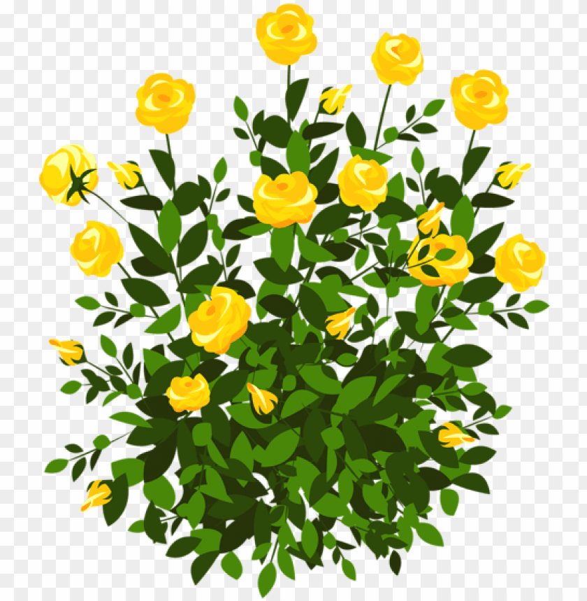 Yellow Rose Bush Png Clipart Picture Clipart Flowers - Flower Bushes Clipart PNG Transparent With Clear Background ID 205215