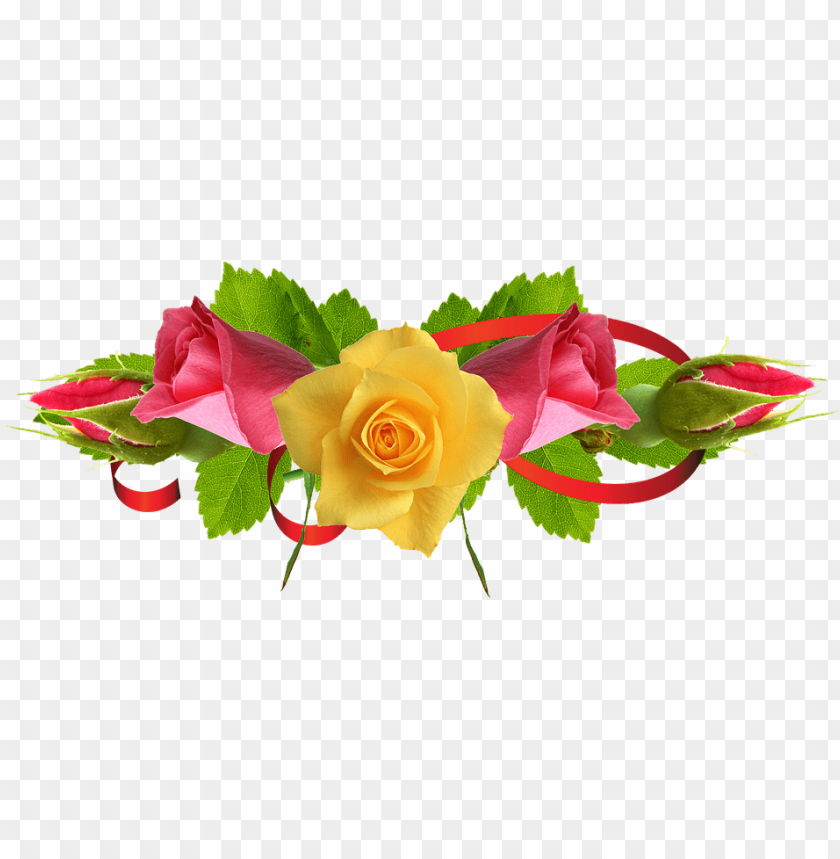 rose flower, yellow rose, pink flower, sakura flower, yellow tape, rose border