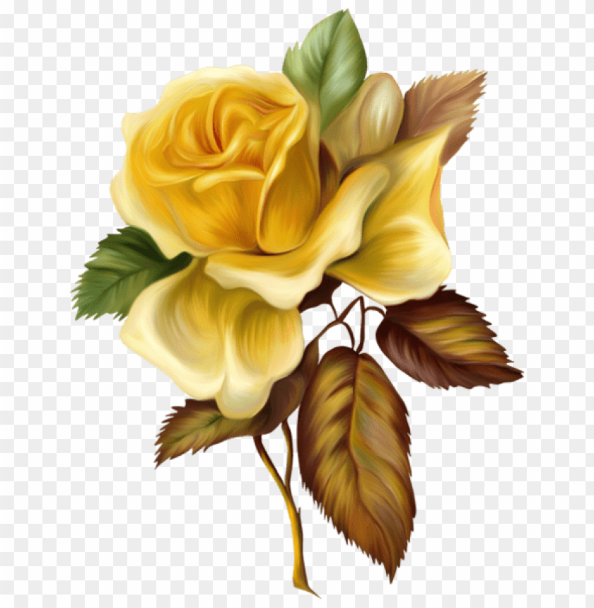yellow rose painted picture
