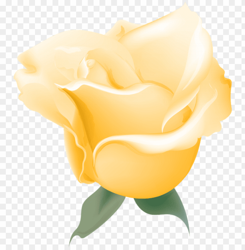yellow rose soft deco