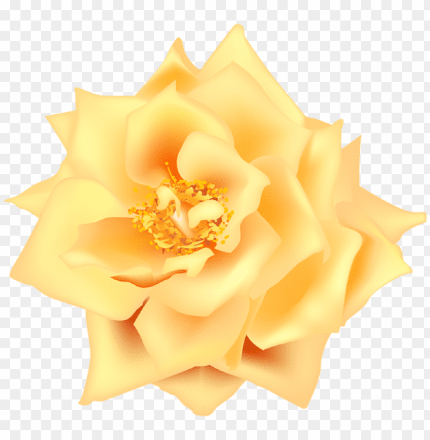 PNG image of yellow rose transparent with a clear background - Image ID 44348