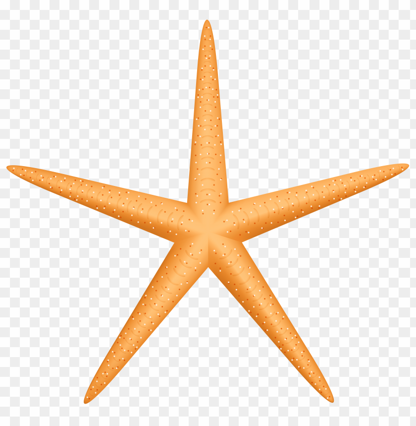 free PNG Download yellow starfish clipart png photo   PNG images transparent