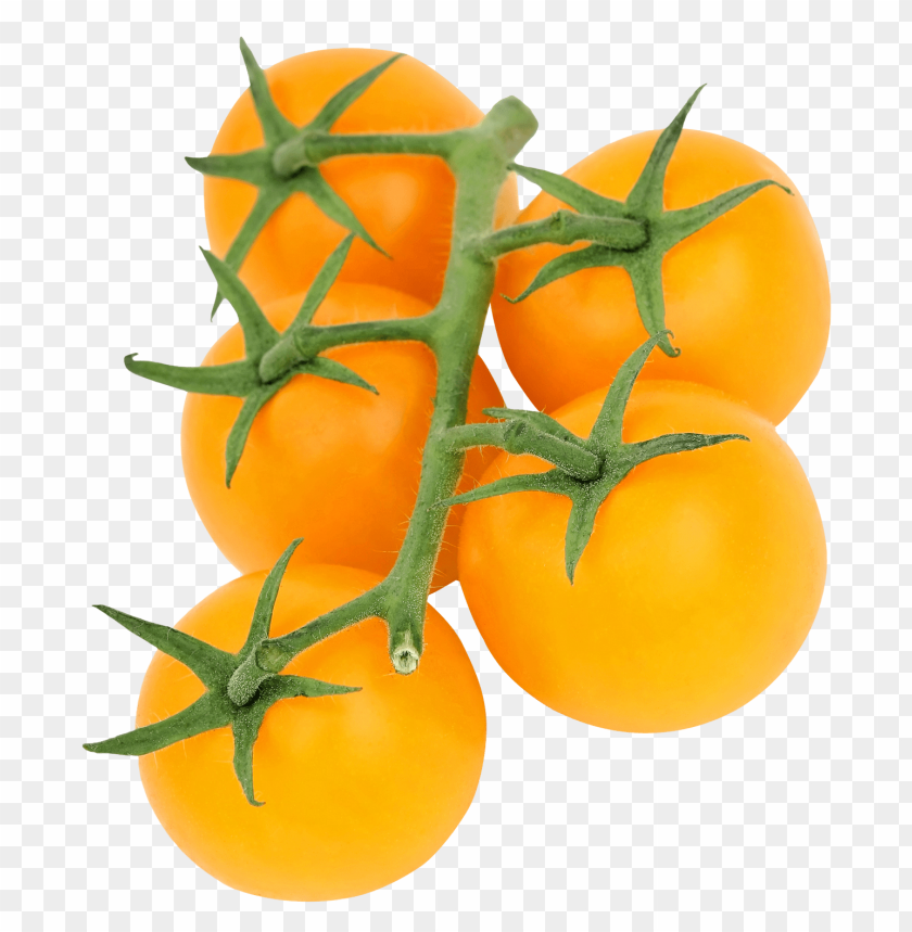 tomato, vegetable
