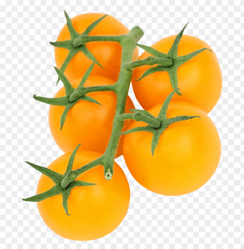free PNG Download yellow tomato png images background PNG images transparent