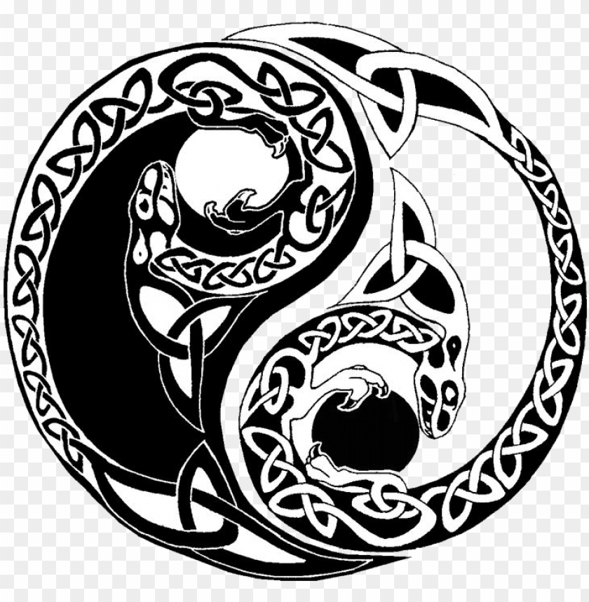yin yang, yin yang symbol, ying yang, skull tattoo, dragon tattoo, rose tattoo