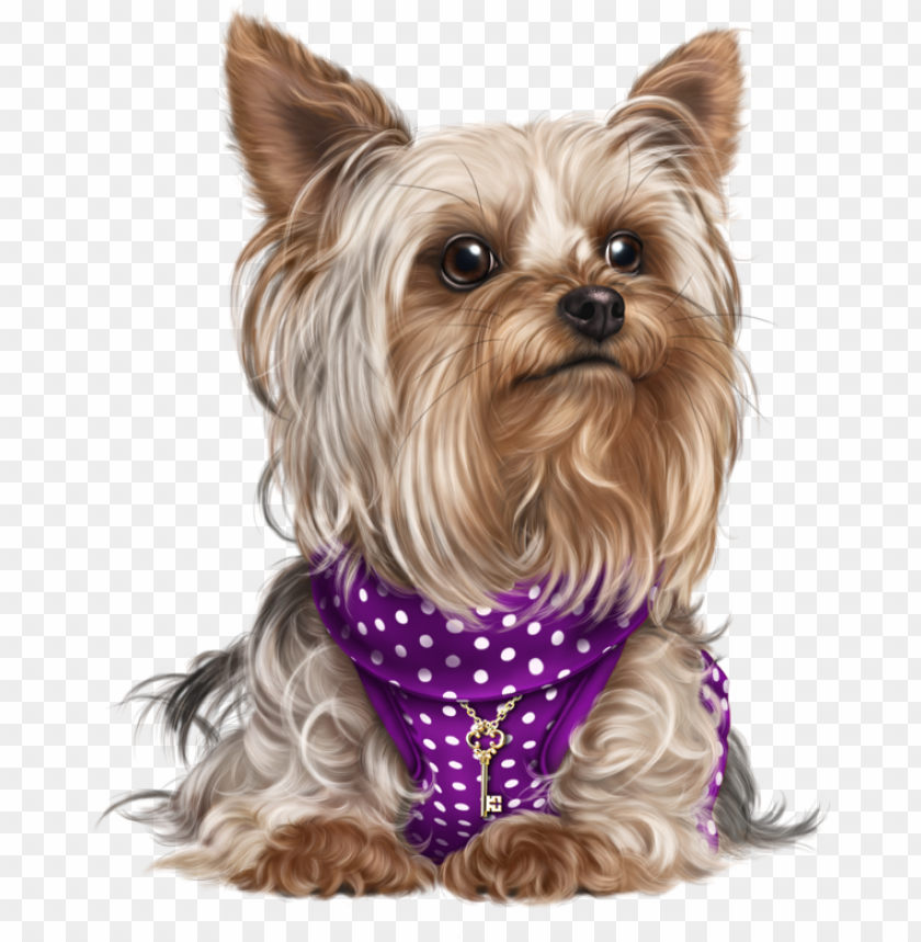 yorky puppy images cute puppies cute dogs dog cat figurinha cachorro PNG transparent with Clear Background ID 238723