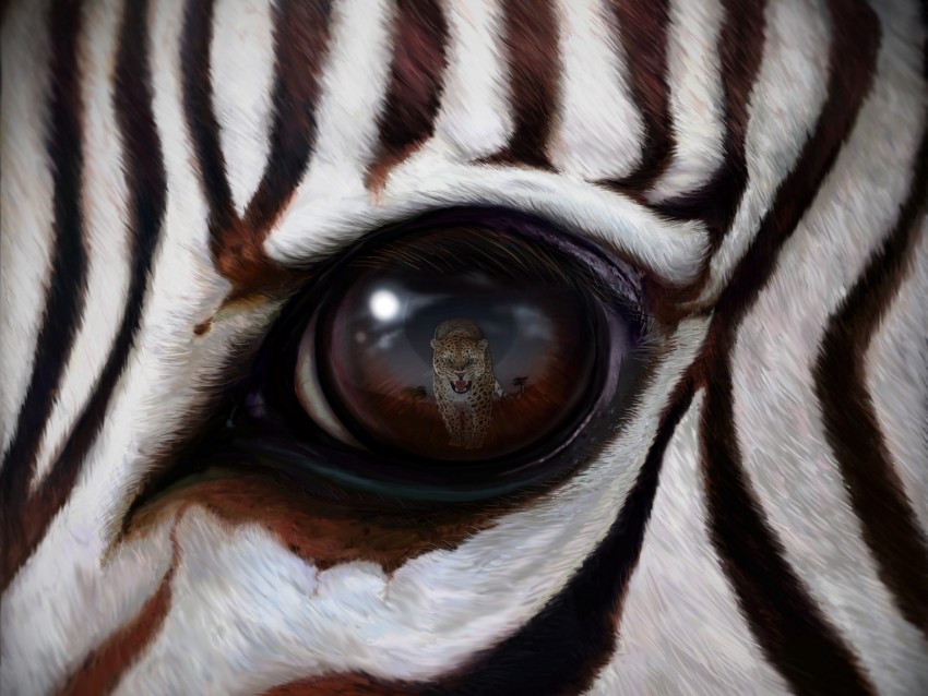 Zebra Eye Reflection Leopard Predator Png - Free PNG Images
