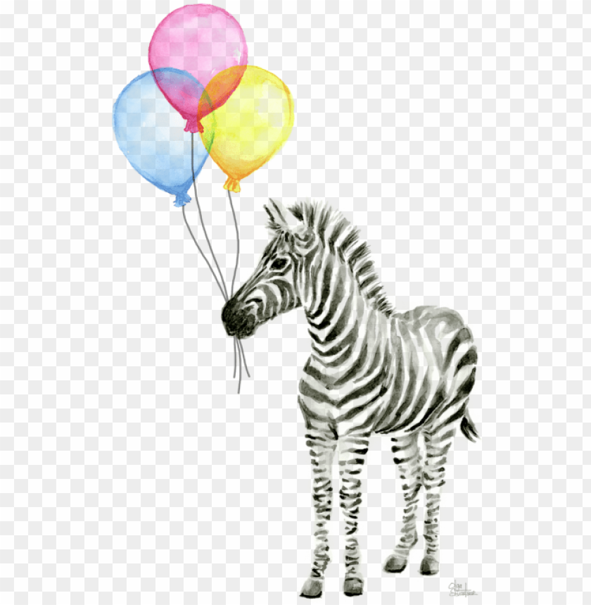 free PNG zebra watercolor with balloons onesie for sale by olga - watercolor animal with balloo PNG image with transparent background PNG images transparent