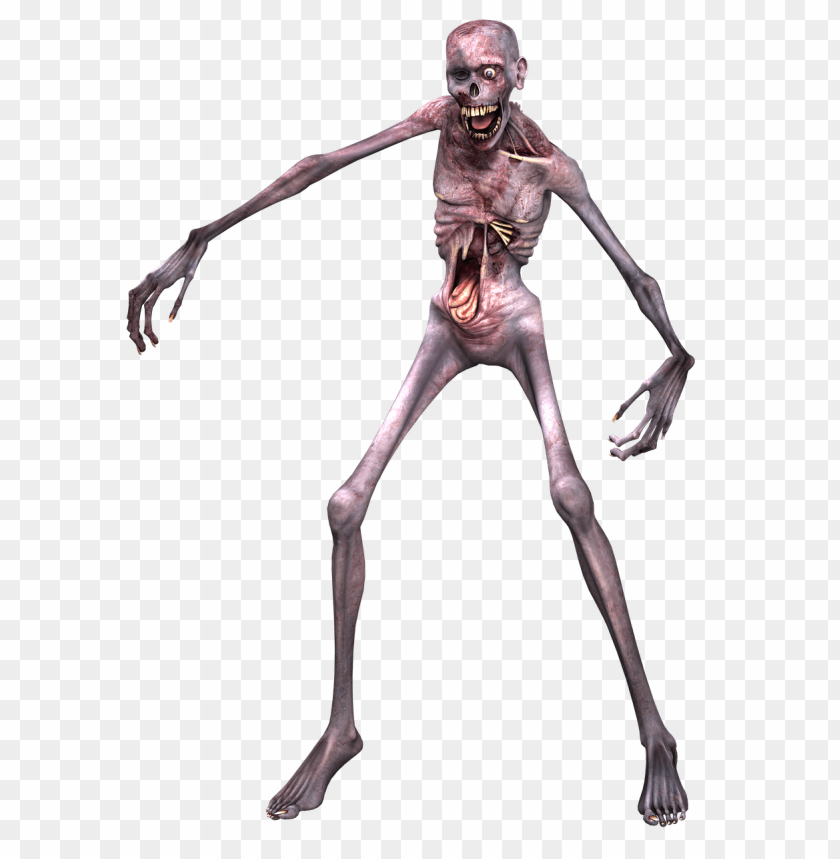 Zombie Skeleton Png Image With Transparent Background Toppng