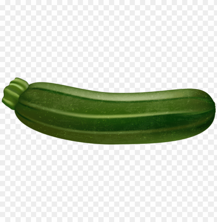Transparent zucchini transparent PNG background - Image ID 49927