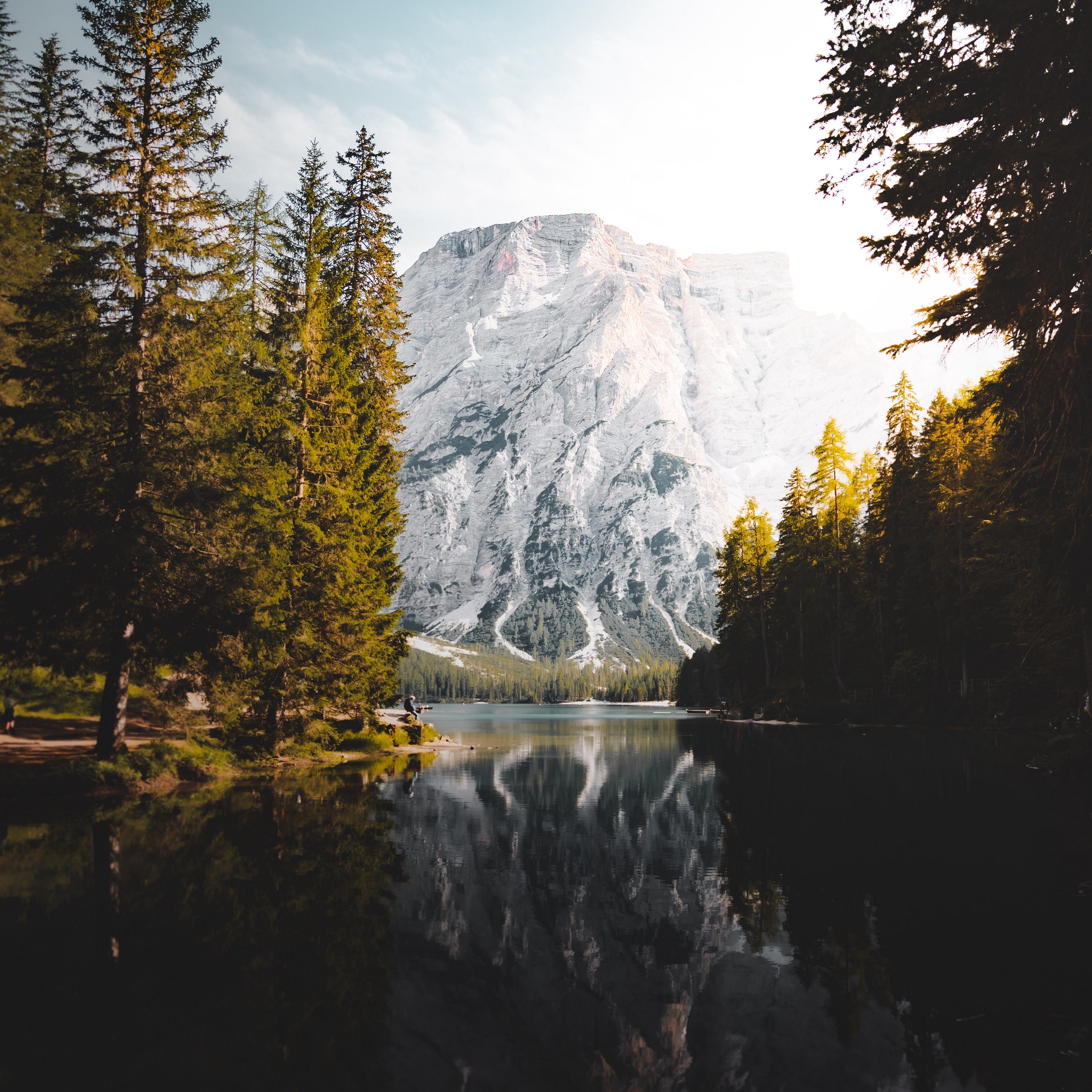 Mountains Forest Path Landscape Nature 4k Wallpaper TOPpng Mountains Forest Path Landscape Nature 4k Wallpaper TOPpng