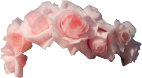 Download Flower Png Pink Flower Transparent Background Png - pink flower crown roblox pink flowers flower crown flowers