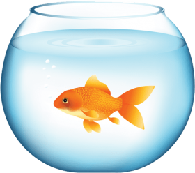 goldfish bowl png