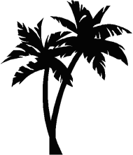 Alm Tree Clipart - Palm Tree Line Art PNG Image With Transparent ...