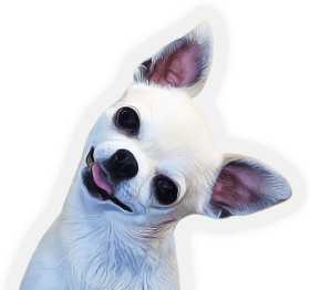 introducing a new dog to your chihuahua - playing with dog PNG image ...