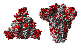 Coronavirus covid-19 icon PNG image with transparent ...