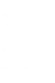 Free download | HD PNG Download cutlery png images background | TOPpng