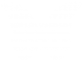 Download butterfly png images background | TOPpng