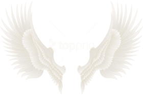 Download White Wings Clipart Png Photo | TOPpng