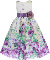 filipiniana dress PNG image with transparent background | TOPpng