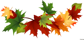 Clipart Autumn Leaves Outlines Png Fall Leaf Outline - Line Art PNG ...