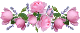 beautiful clipart pink rose - pink roses transparent PNG image with ...