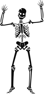 skeleton png image - Скелеты PNG image with transparent background | TOPpng