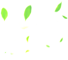 hojas en png - dibujo de hoja verde PNG image with transparent ...
