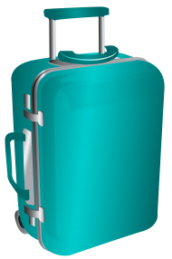pet travel bag transparent