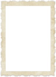 polaroid png PNG image with transparent background | TOPpng
